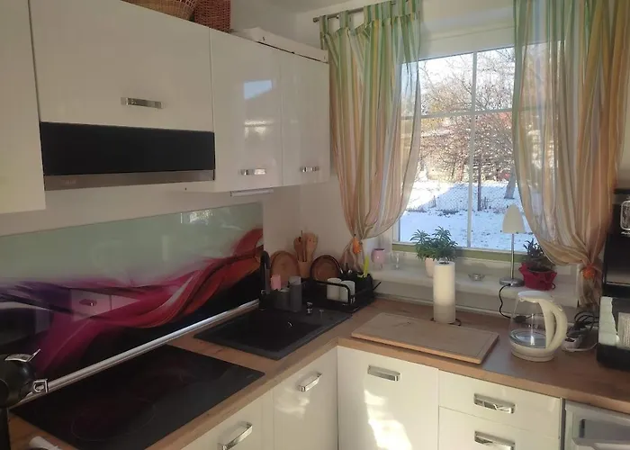 Tatil Evi Za Plotem *